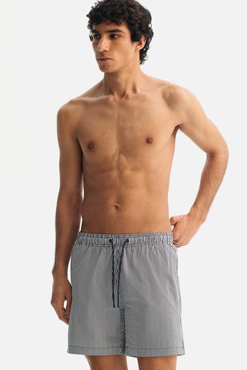 seersucker swim shorts - blue/striped