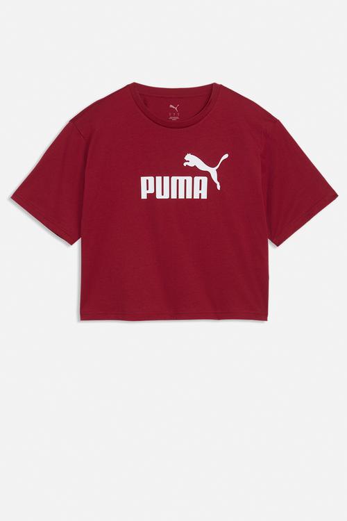 Plus ess cropped no. 1 logo relaxed tee - garnet glow