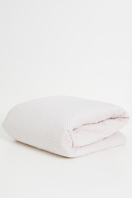 Avedon Blanket - Champagne 