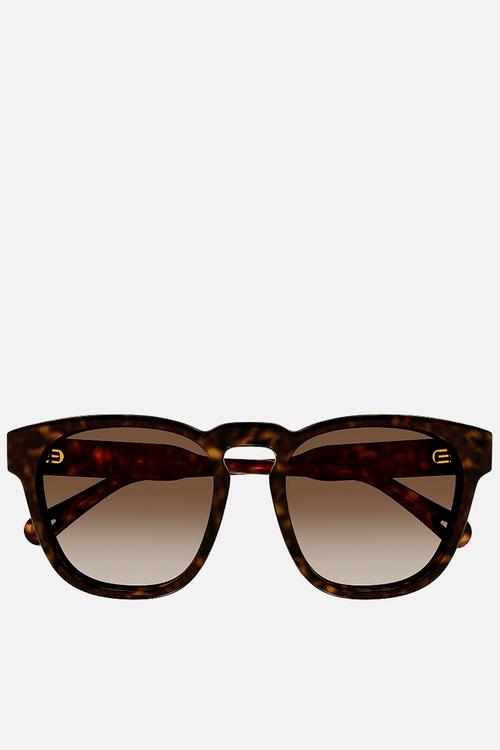 CH0160S-002 54 Sunglass - Havana