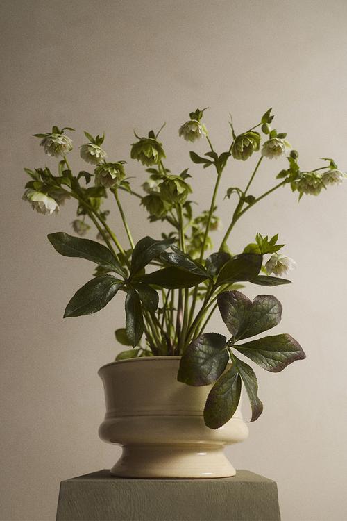 Wide reactive-glaze terracotta plant pot - light beige