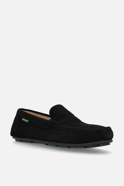 Pierce Black