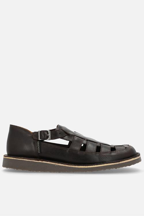 Crixus gladiator - brown 