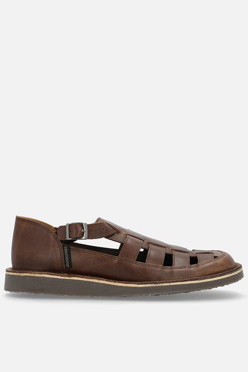 Crixus gladiator - oatmeal 