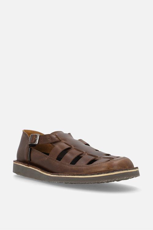 Crixus gladiator - oatmeal 