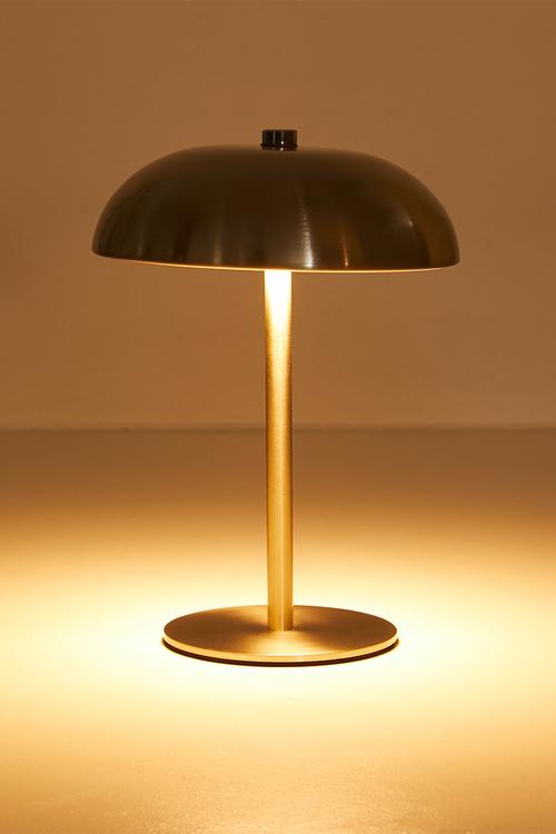Mushroom light - silver