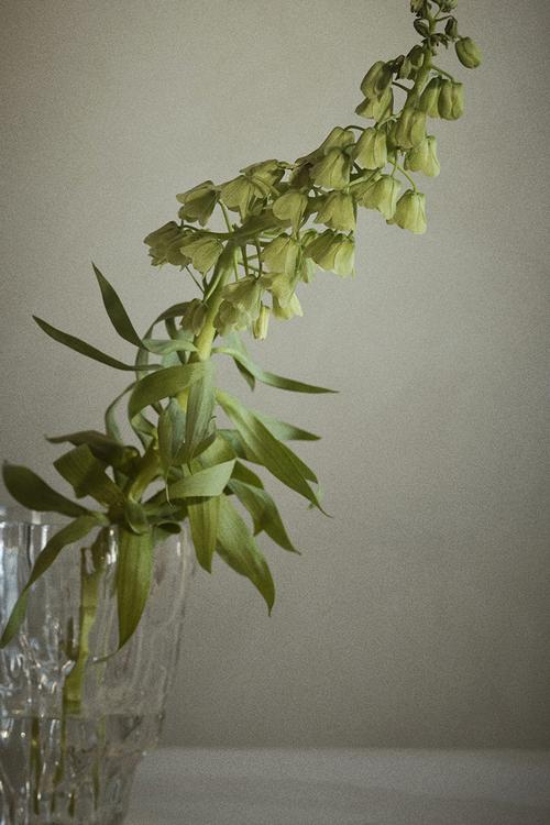 Textured-glass vase - transparent