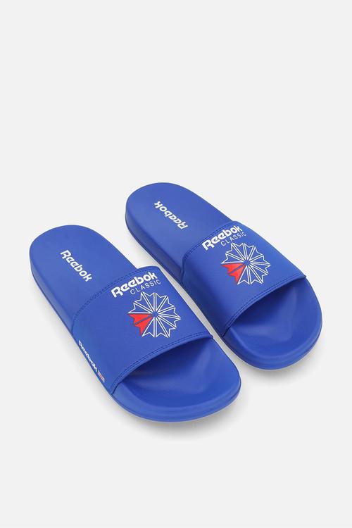 Classic Slide Placeholder  - Legacy Blue