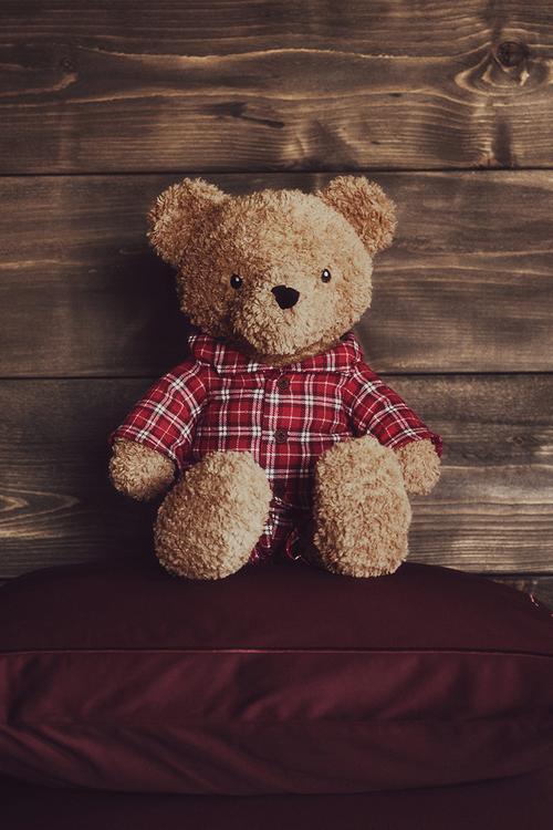 Teddy bear soft toy - brown/bear