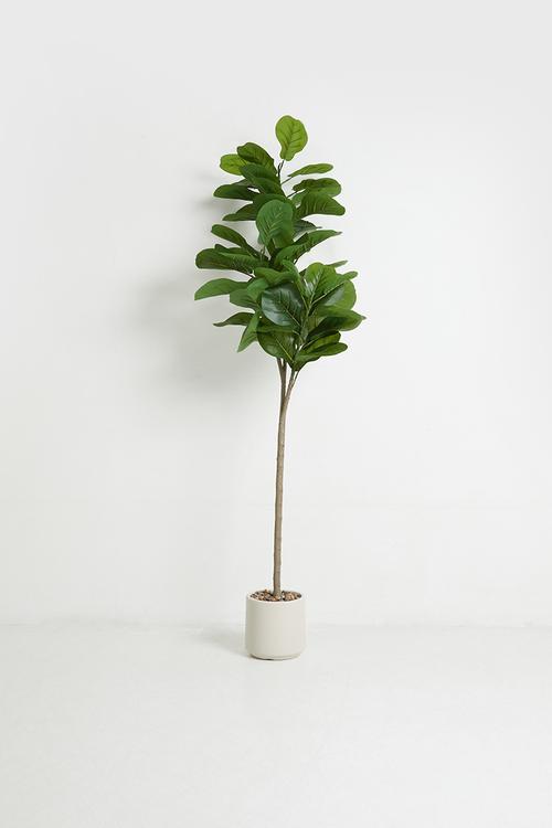 Fiddleleaf Artificial tree 150cm