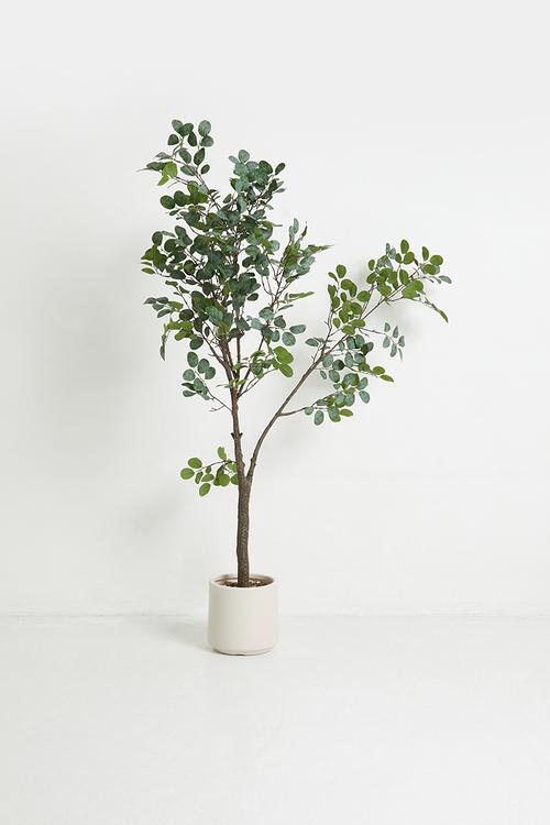 Loropetalum Tree Artifiical Plant 130cm
