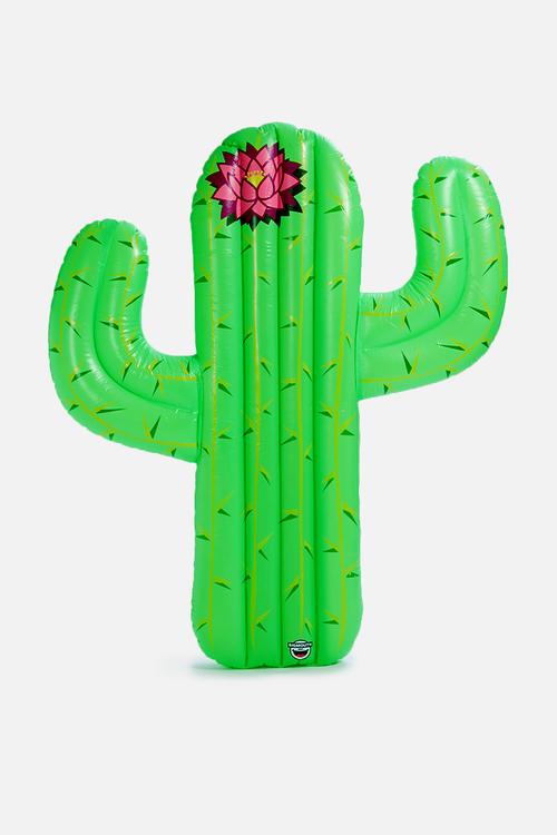 Cactus float