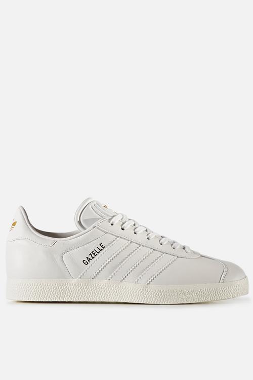 Gazelle
