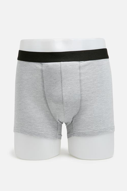 Single boxer