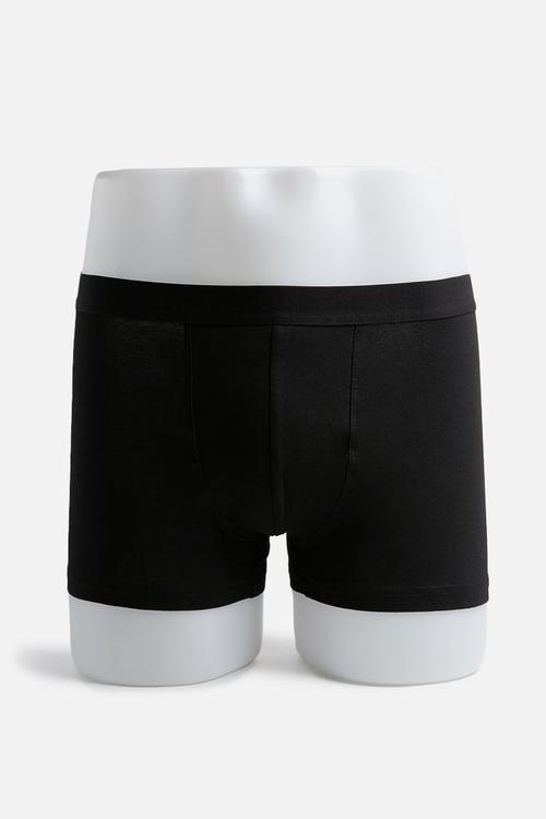 3 Pack trunks