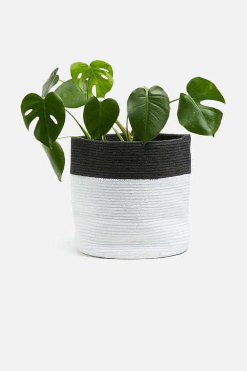 Cora basket large