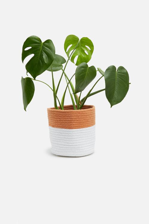 Cora basket small