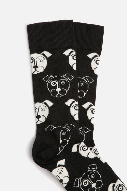 Dog socks