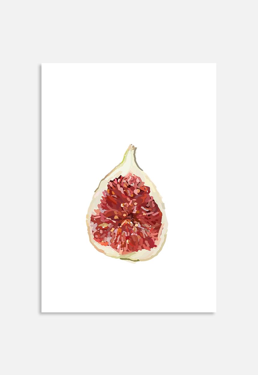 Sarah Allderman - Fig in falu
