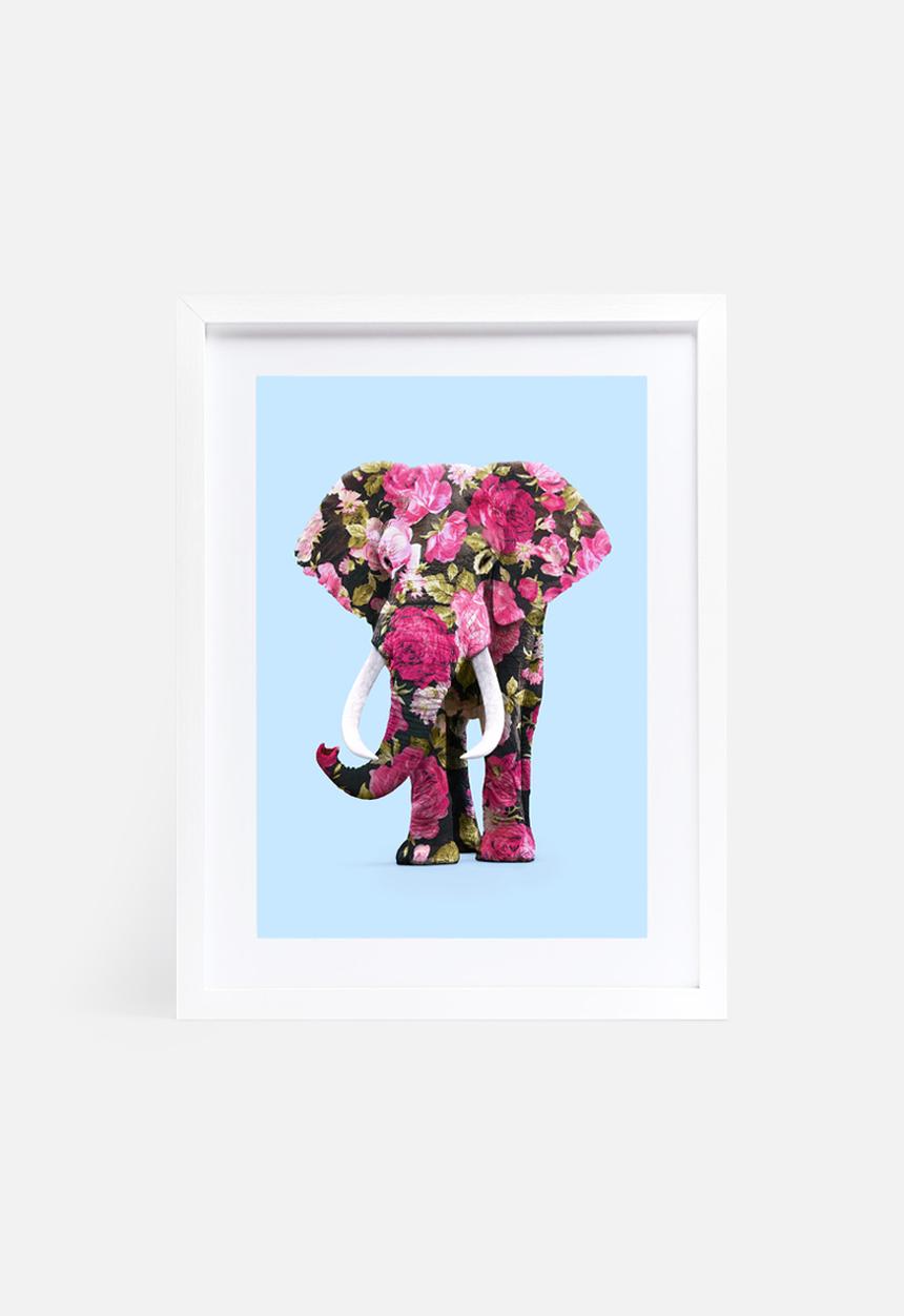 Paul Fuentes - Floral elephant
