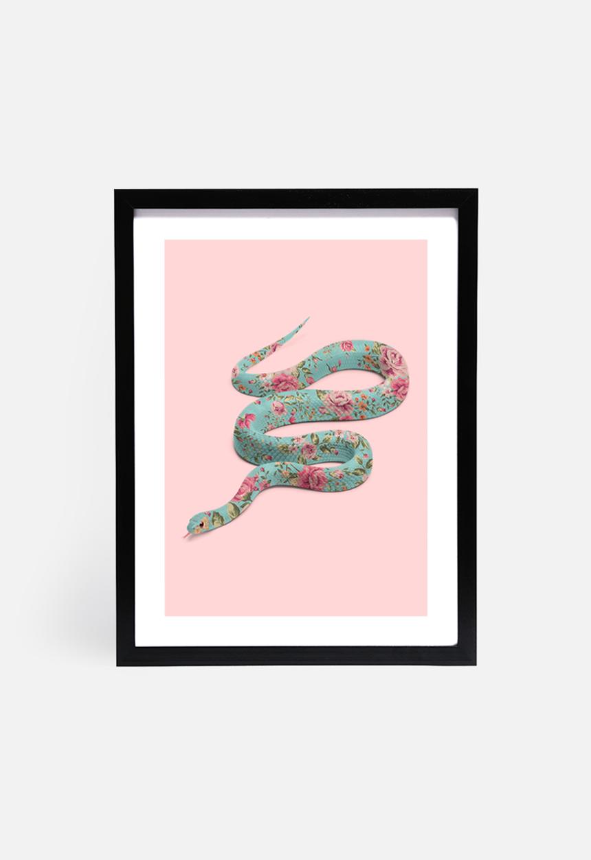 Paul Fuentes - Floral snake