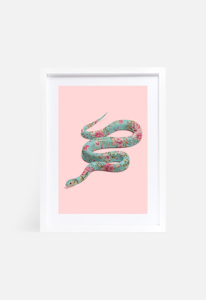 Paul Fuentes - Floral snake
