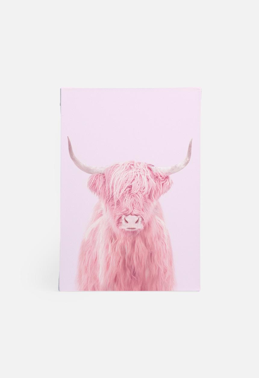 Paul Fuentes - Highland cow