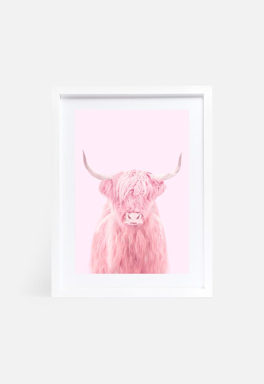 Paul Fuentes - Highland cow