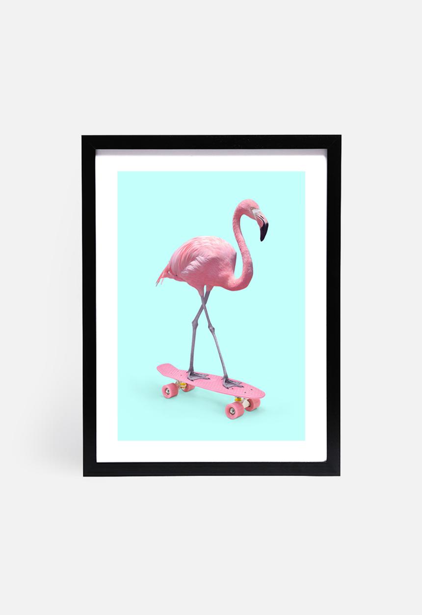 Paul Fuentes - Skate flamingo