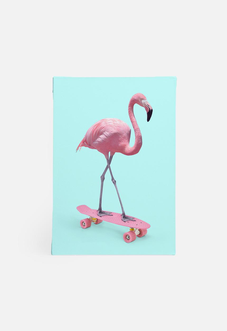 Paul Fuentes - Skate flamingo