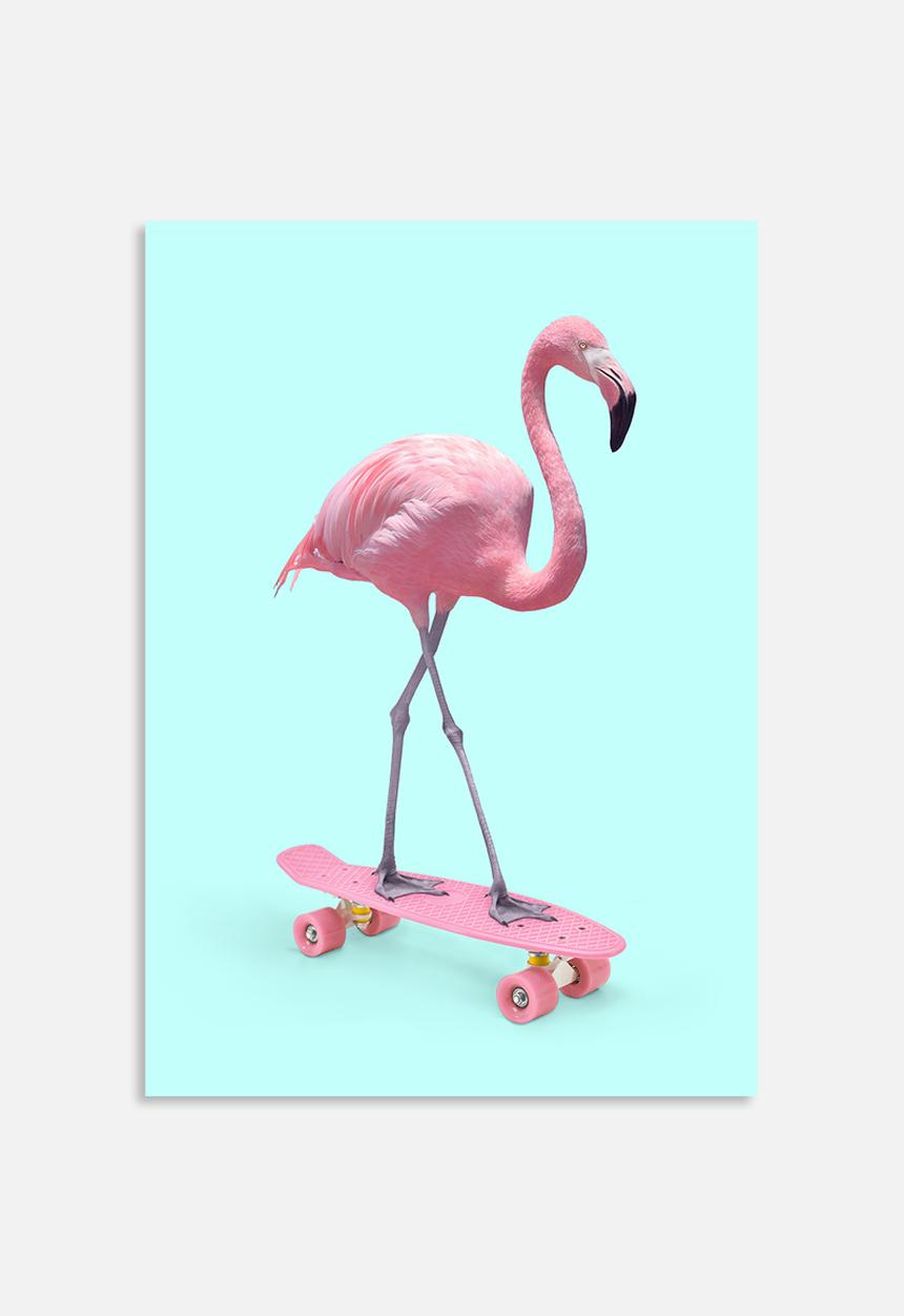 Paul Fuentes - Skate flamingo