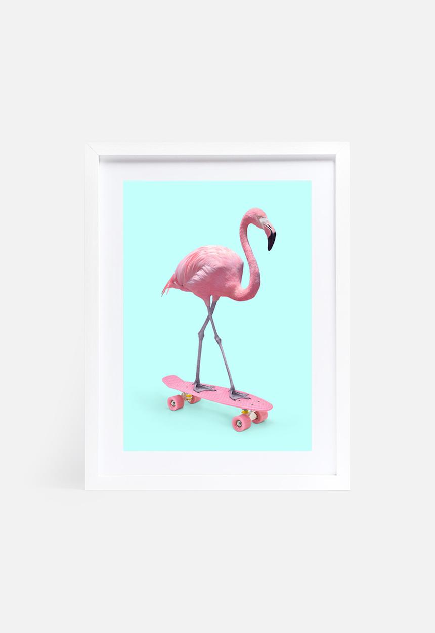 Paul Fuentes - Skate flamingo