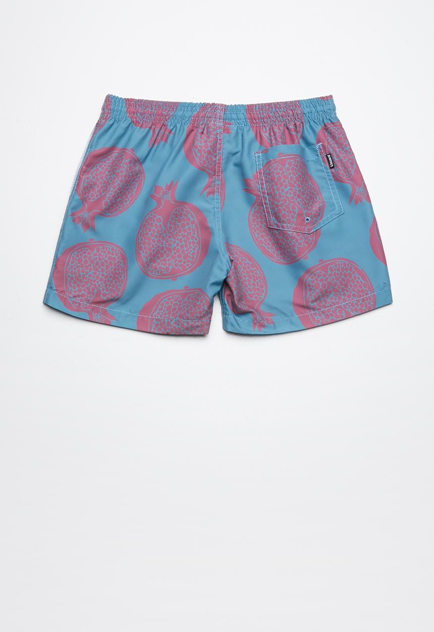 Lizzard - Fruitster board shorts  - blue & purple