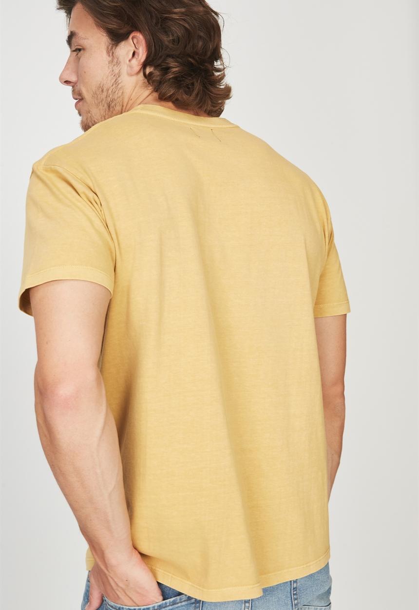 Cotton On - Dylan tee - multi