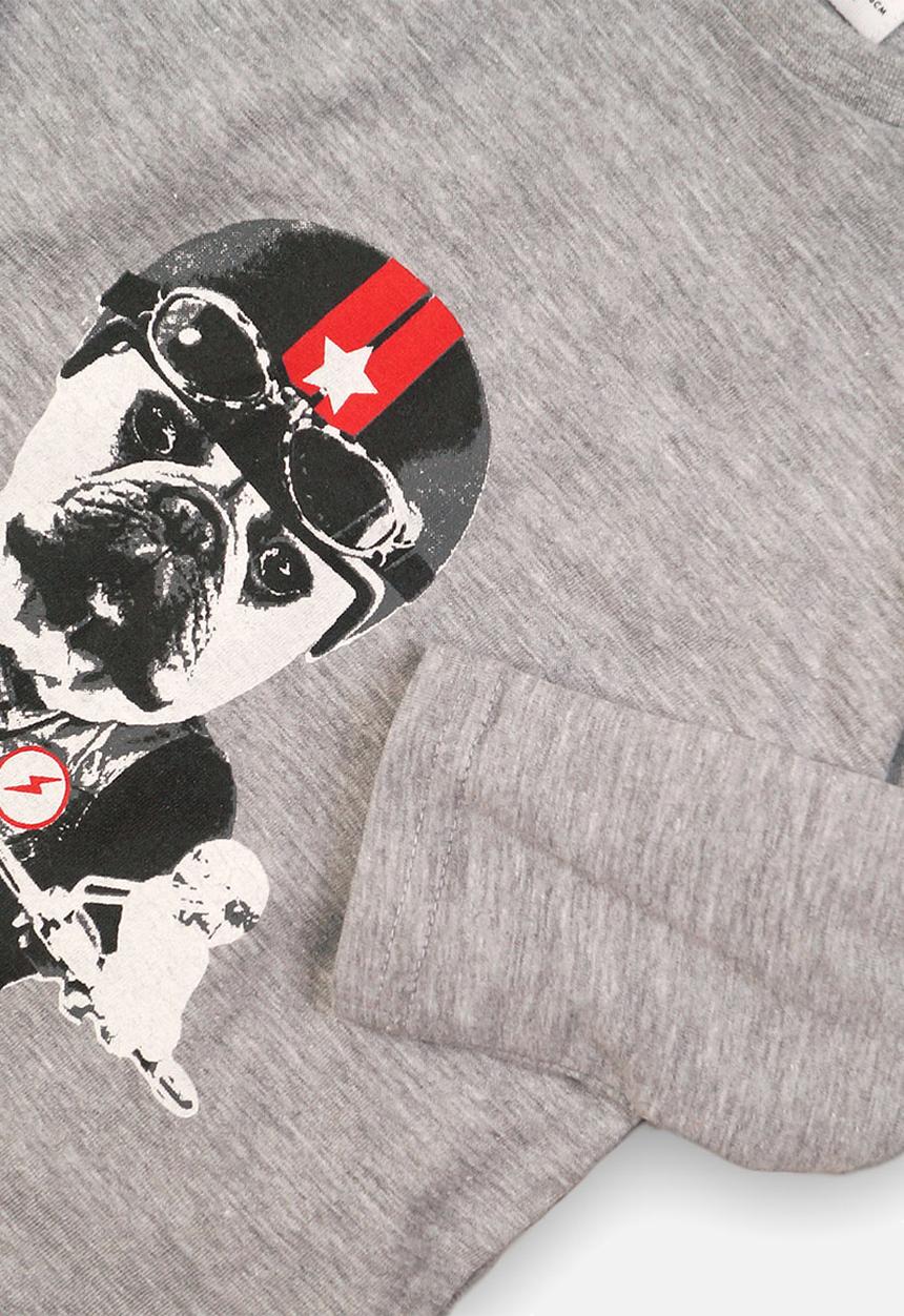 MINOTI - Biker pitbull graphic tee - grey