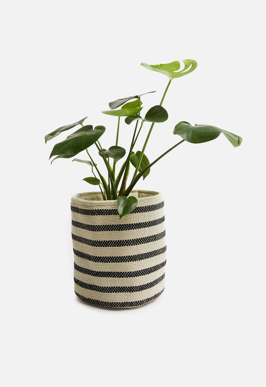Sixth Floor - Sona cotton basket - black/white