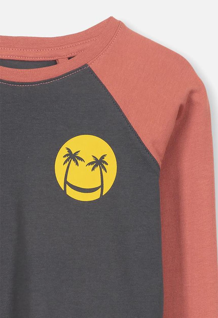Cotton On - Tom long sleeve raglan tee - multi