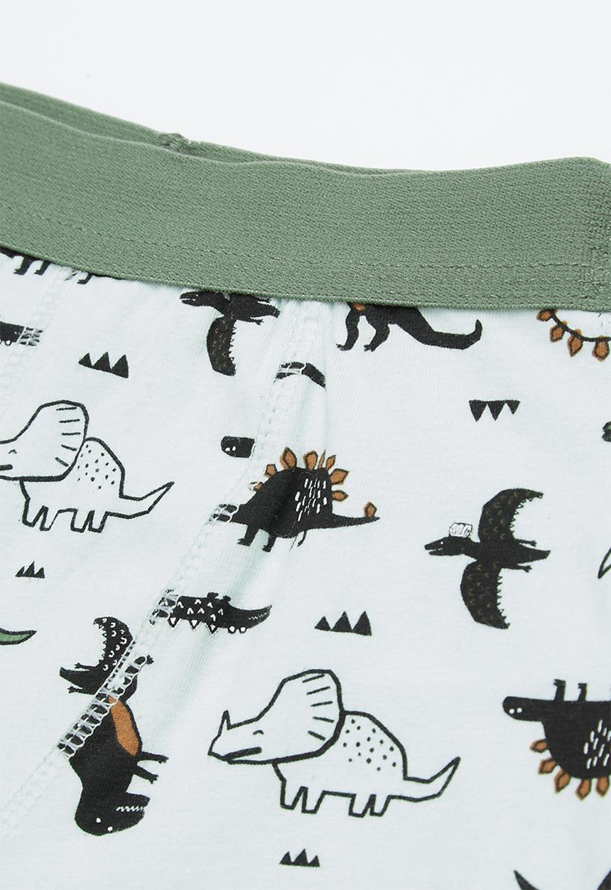 Cotton On - Boys 2pack trunk - multi