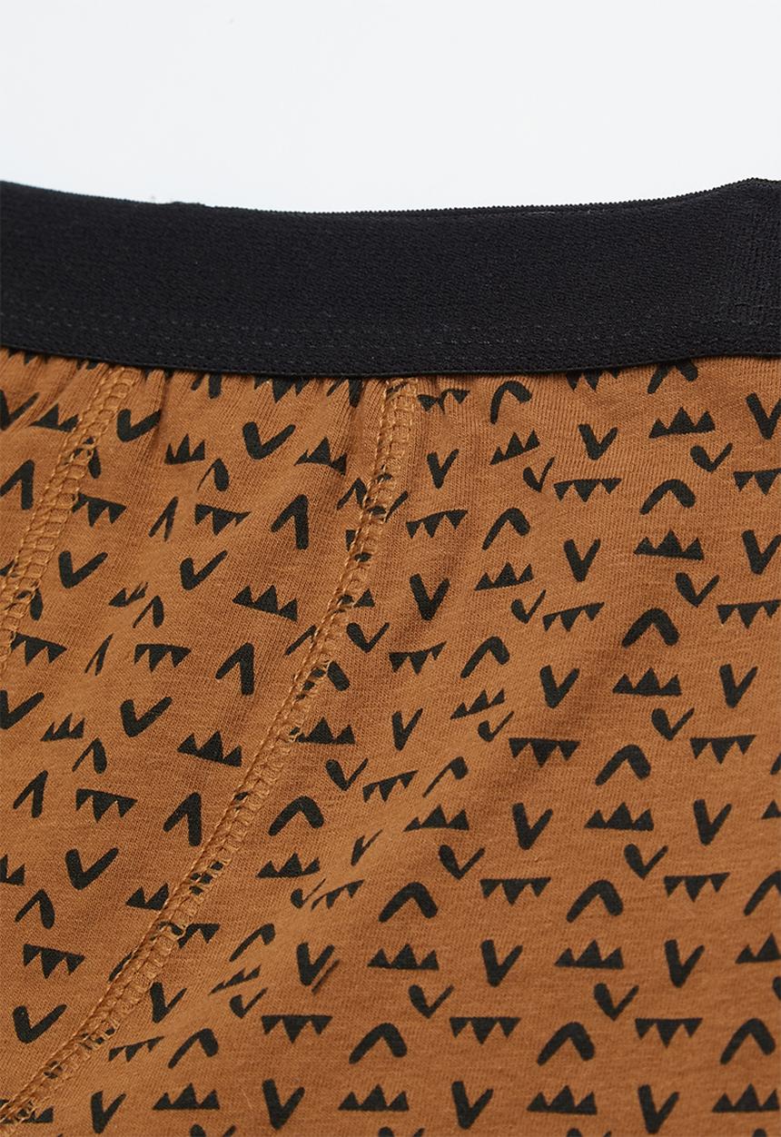 Cotton On - Boys 2pack trunk - multi