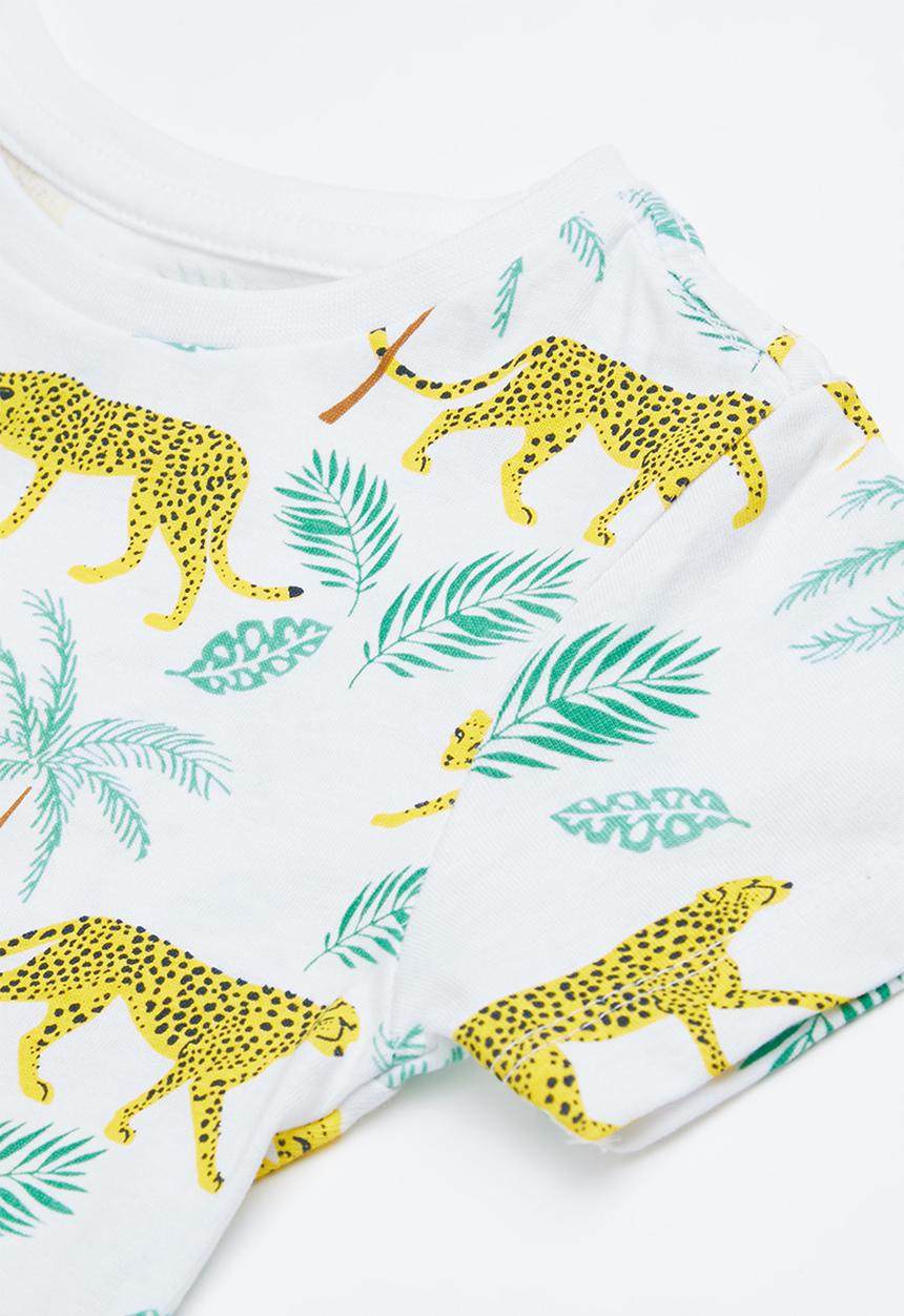 Cotton On - Max short sleeve tee - multi