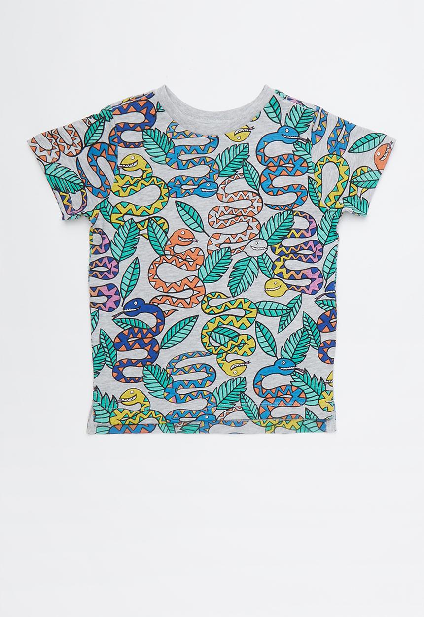 Cotton On - Max short sleeve tee -multi