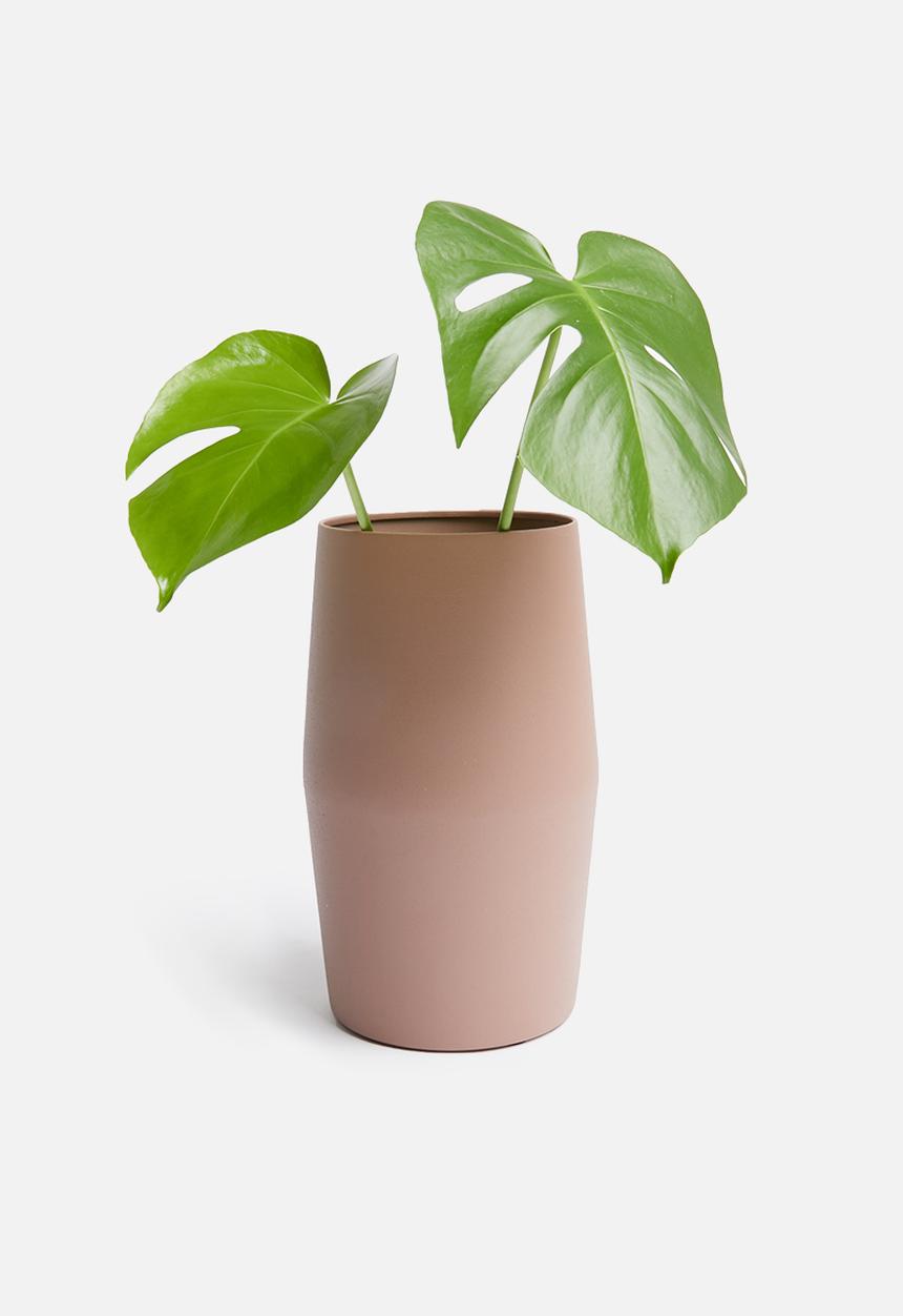Present Time - Nimble vase - kink blush pink