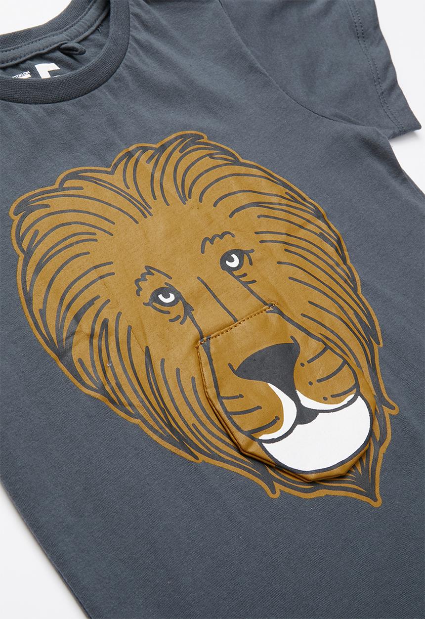 Cotton On - Max short sleeve tee - grey