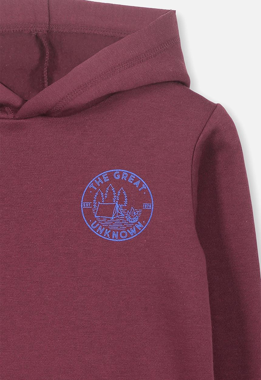Cotton On - Liam hoodie - burgundy