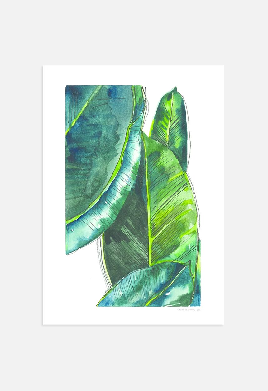 Claudia Liebenberg - Banana Leaves