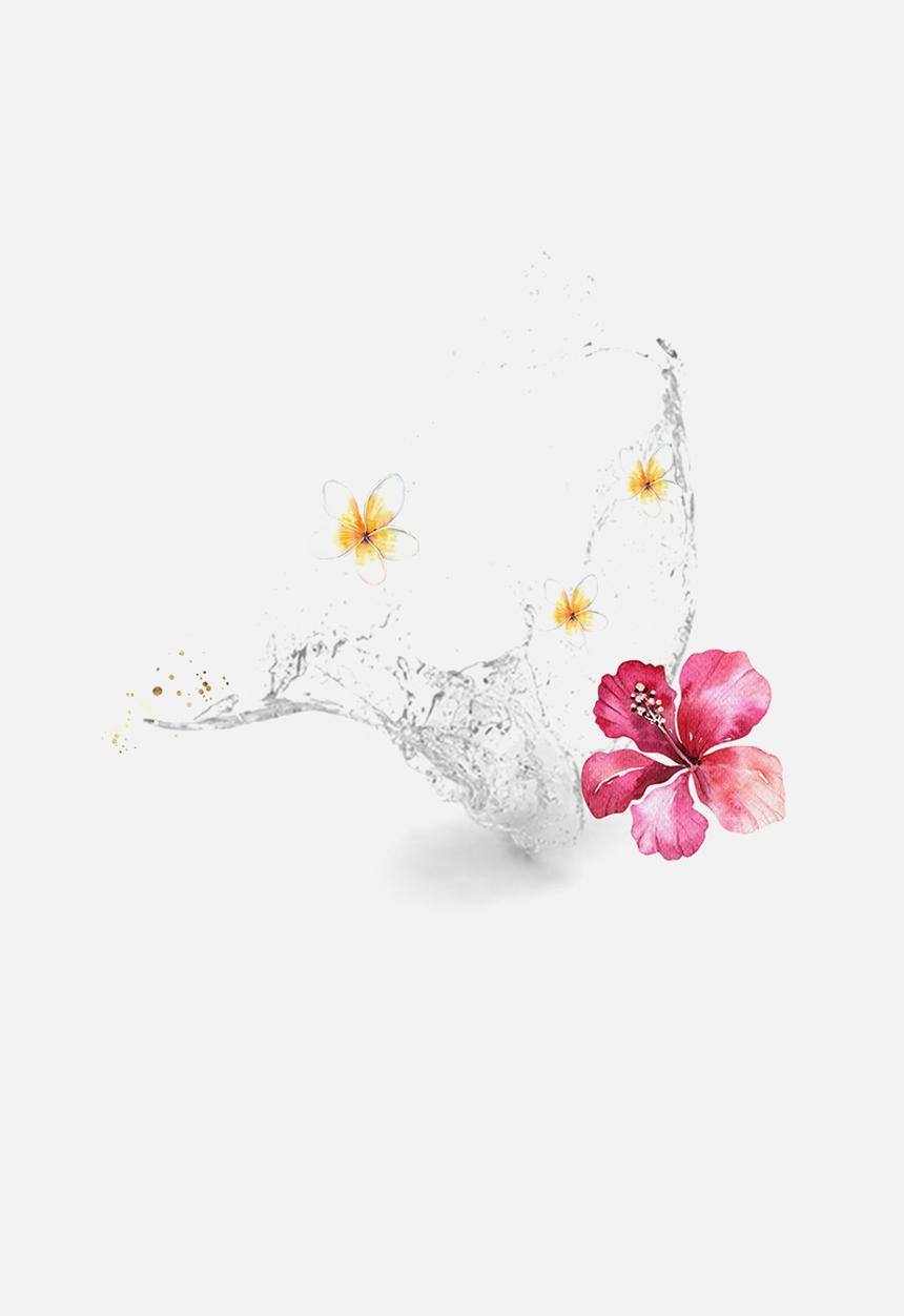 hey gorgeous - Vitamin C Toner