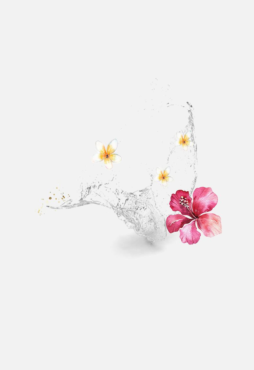 hey gorgeous - Vitamin C Wrinkle Reversing Serum