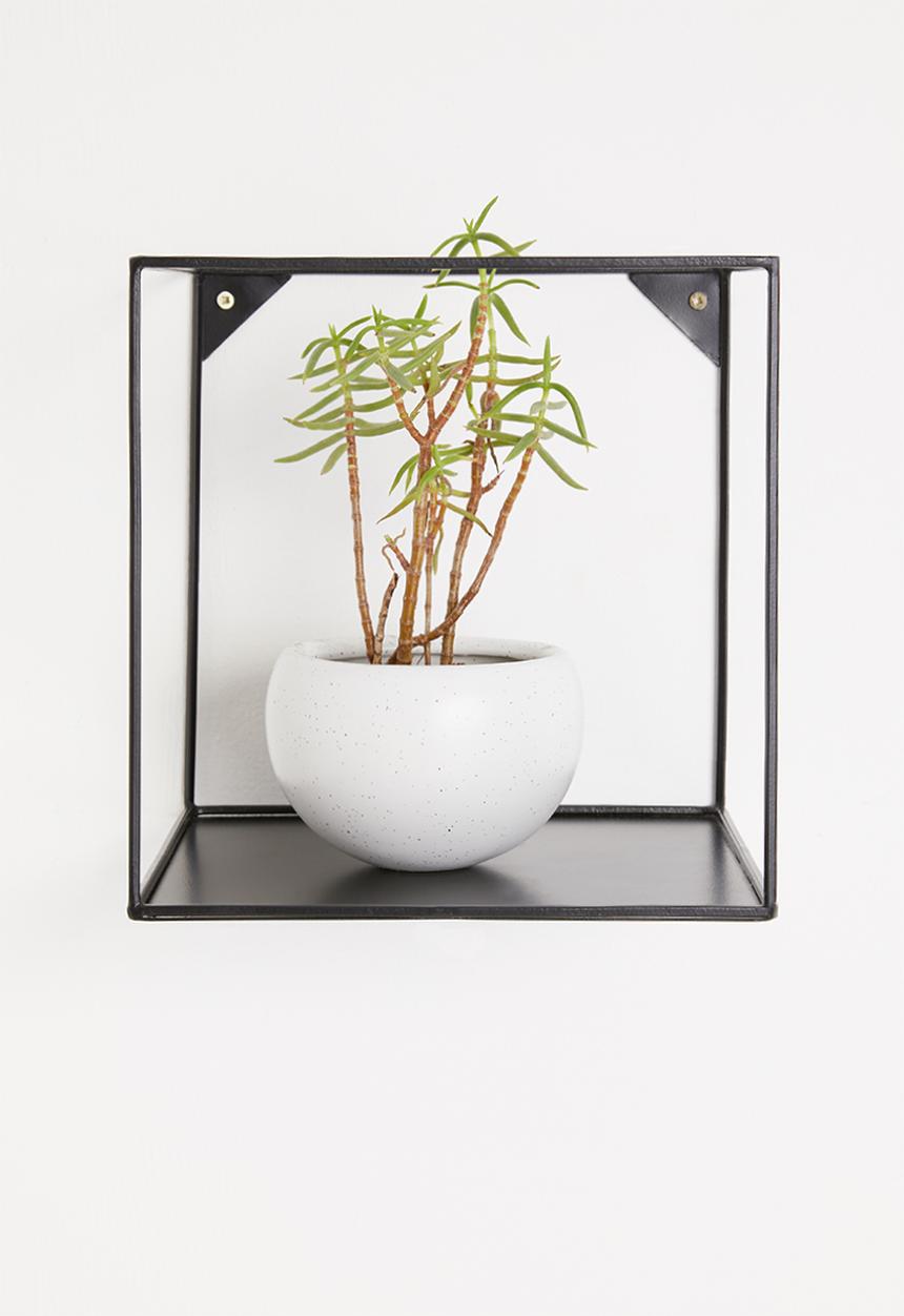 Sixth Floor - Mercury square shelf