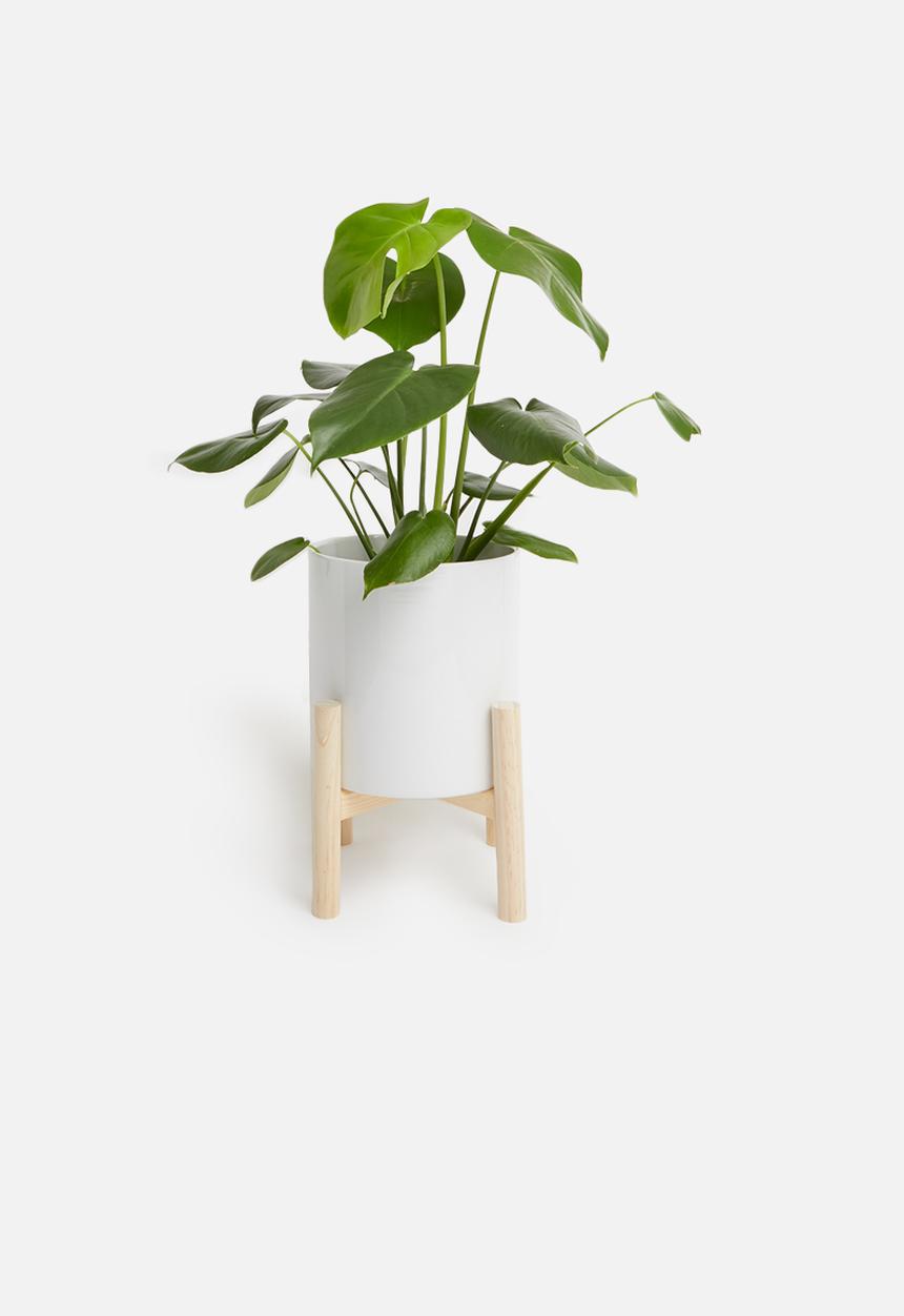 Present Time - Trestle ceramic plant pot - white
