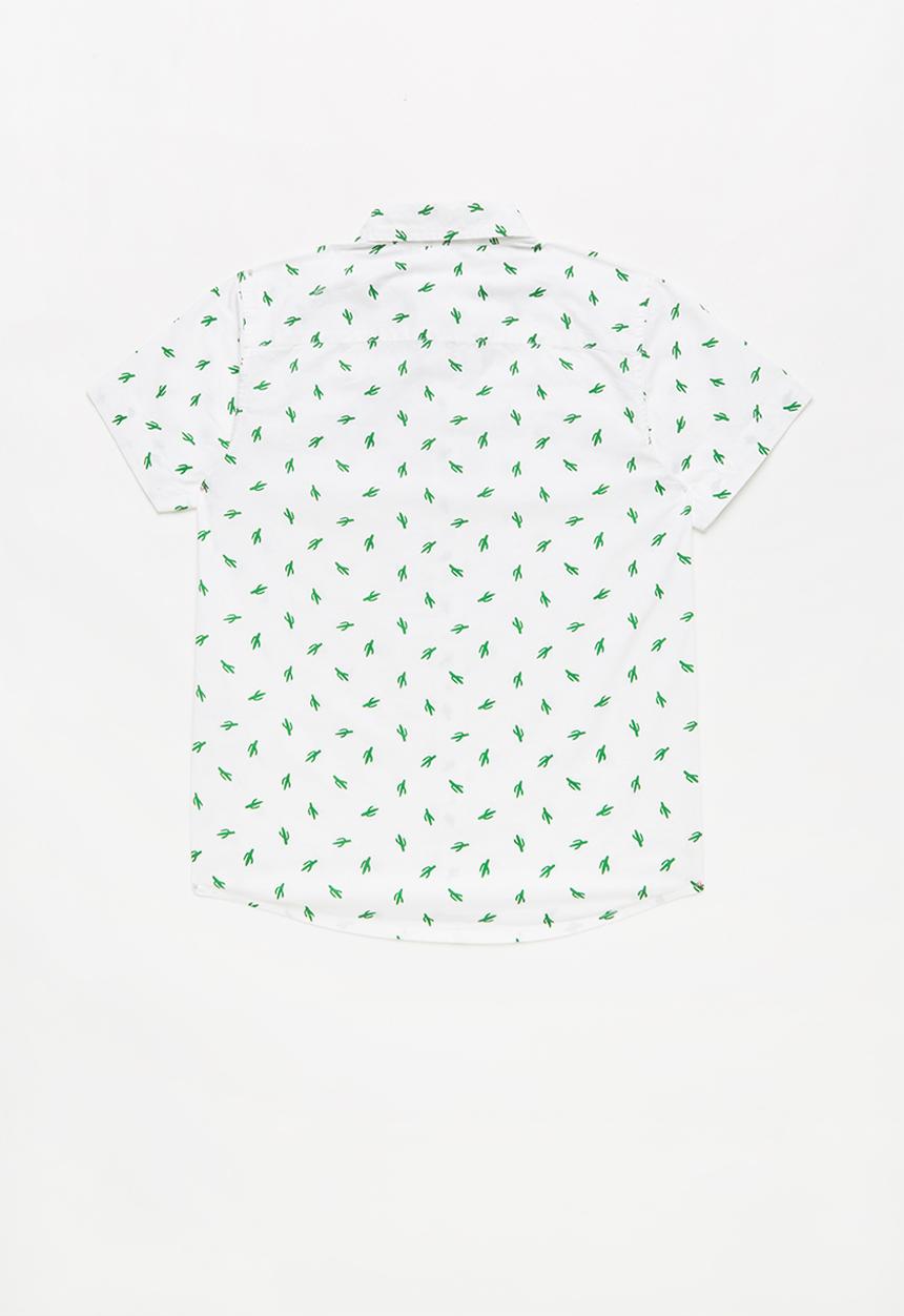 Pop Candy - Cactus print short sleeve shirt - white/green